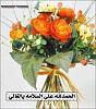 اضغط على الصورة لعرض أكبر. 

الإسم:	1655_01242031473.jpg 
مشاهدات:	661 
الحجم:	17.6 كيلوبايت 
الهوية:	1936