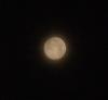 اضغط على الصورة لعرض أكبر. 

الإسم:	Moon31-08-2012a.JPG 
مشاهدات:	524 
الحجم:	67.1 كيلوبايت 
الهوية:	636