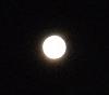 اضغط على الصورة لعرض أكبر. 

الإسم:	Moon31-08-2012b.JPG 
مشاهدات:	521 
الحجم:	70.0 كيلوبايت 
الهوية:	637